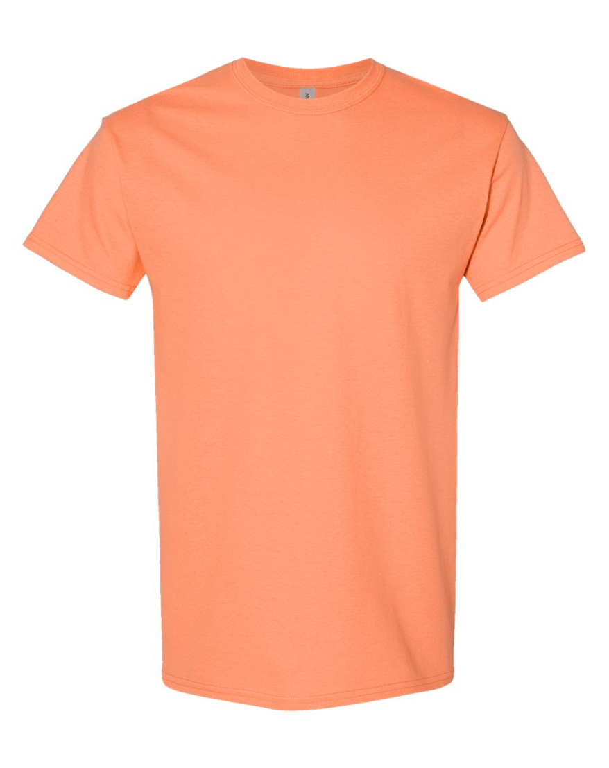 Gildan Unisex Heavy Cotton™ T-Shirt - 5000 (MORE THAN 48)